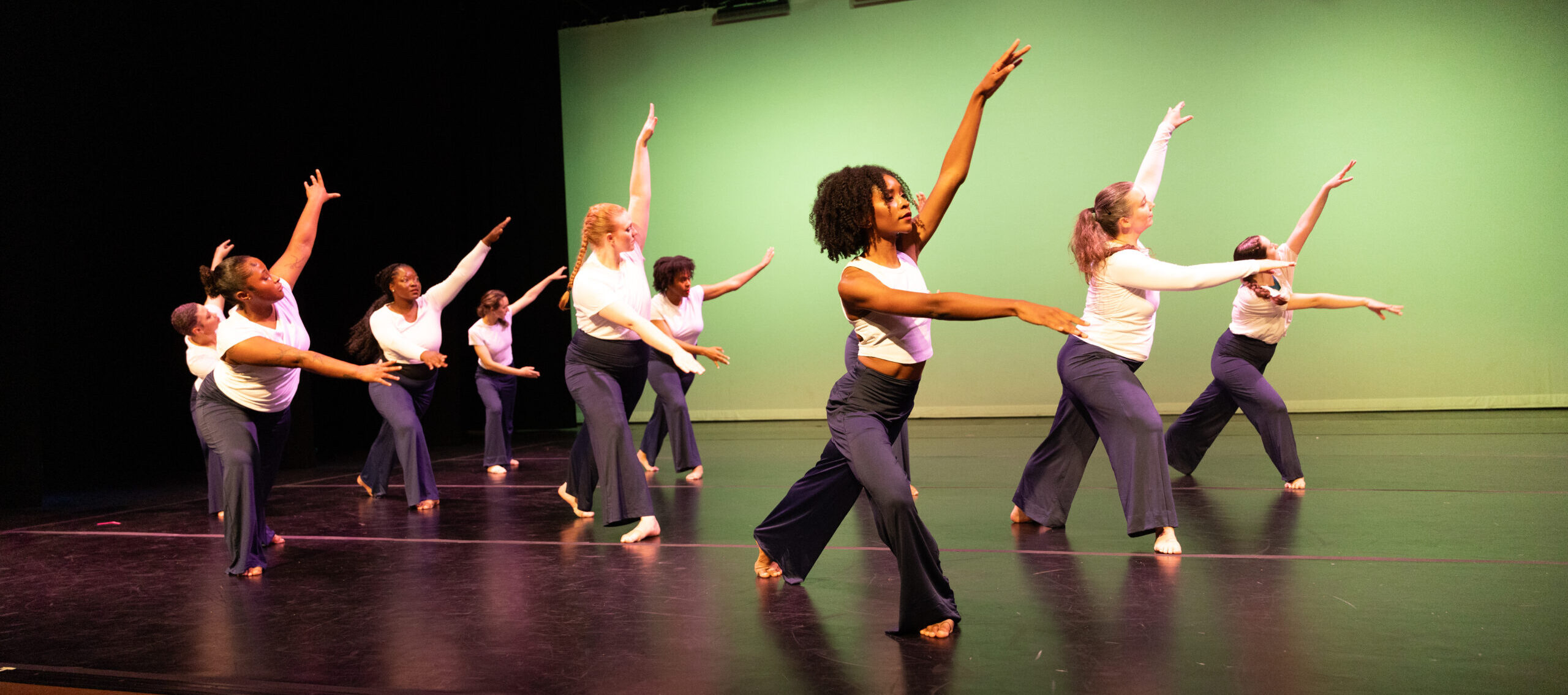 A group of 12 adult dancers of varying ages lunge with their arms reaching forward during the Dance Project Spring Showcase.